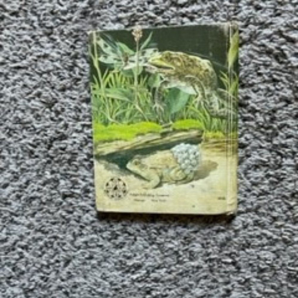 Frogs and Toads - Picture 2 of 7